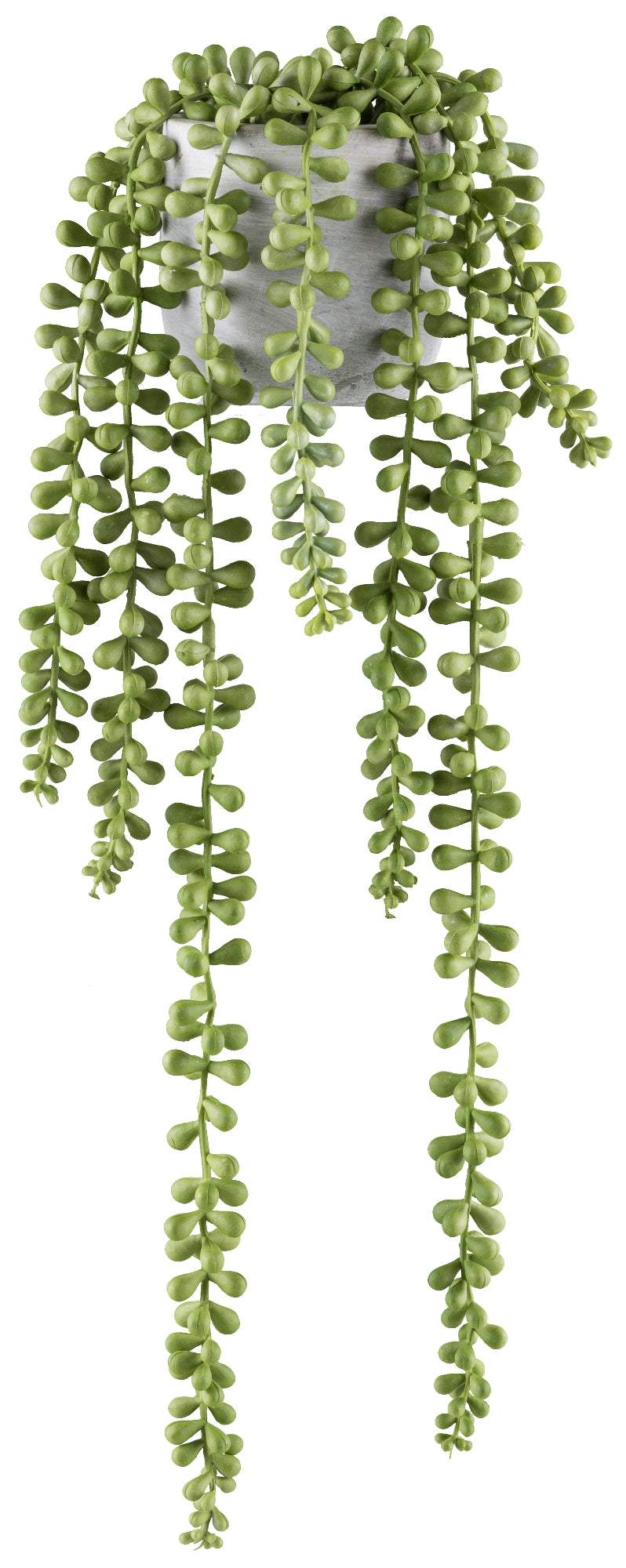 2er Set Sedumhänger 45cm hellgrün im grauen Zementtopf – pflegeleicht und dekorativ