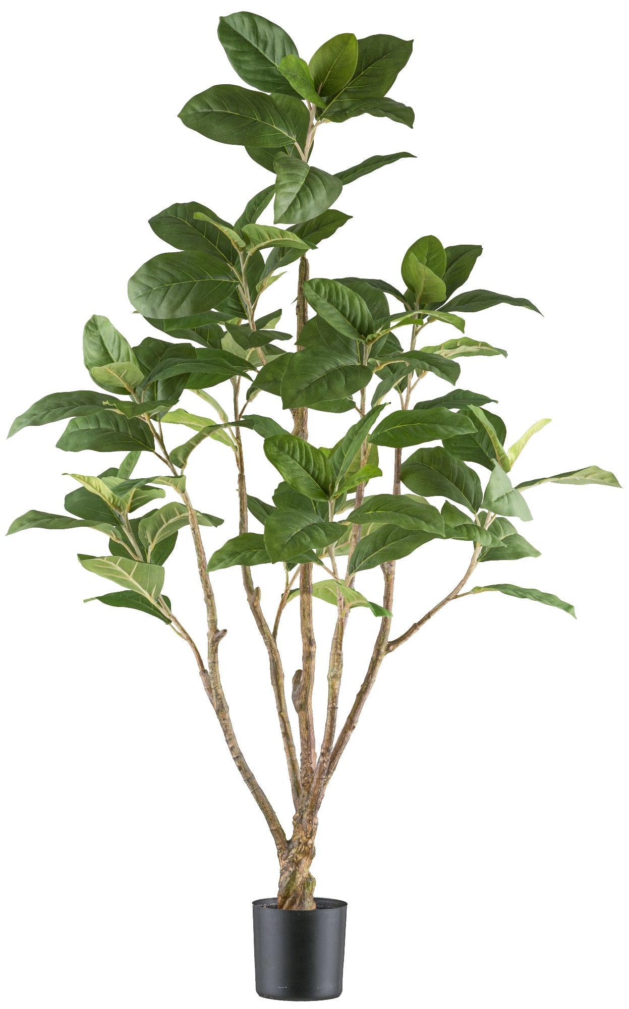 Ficus Moclame Kunstpflanze 115 cm grün im Kunststofftopf, pflegeleicht für jeden Raum