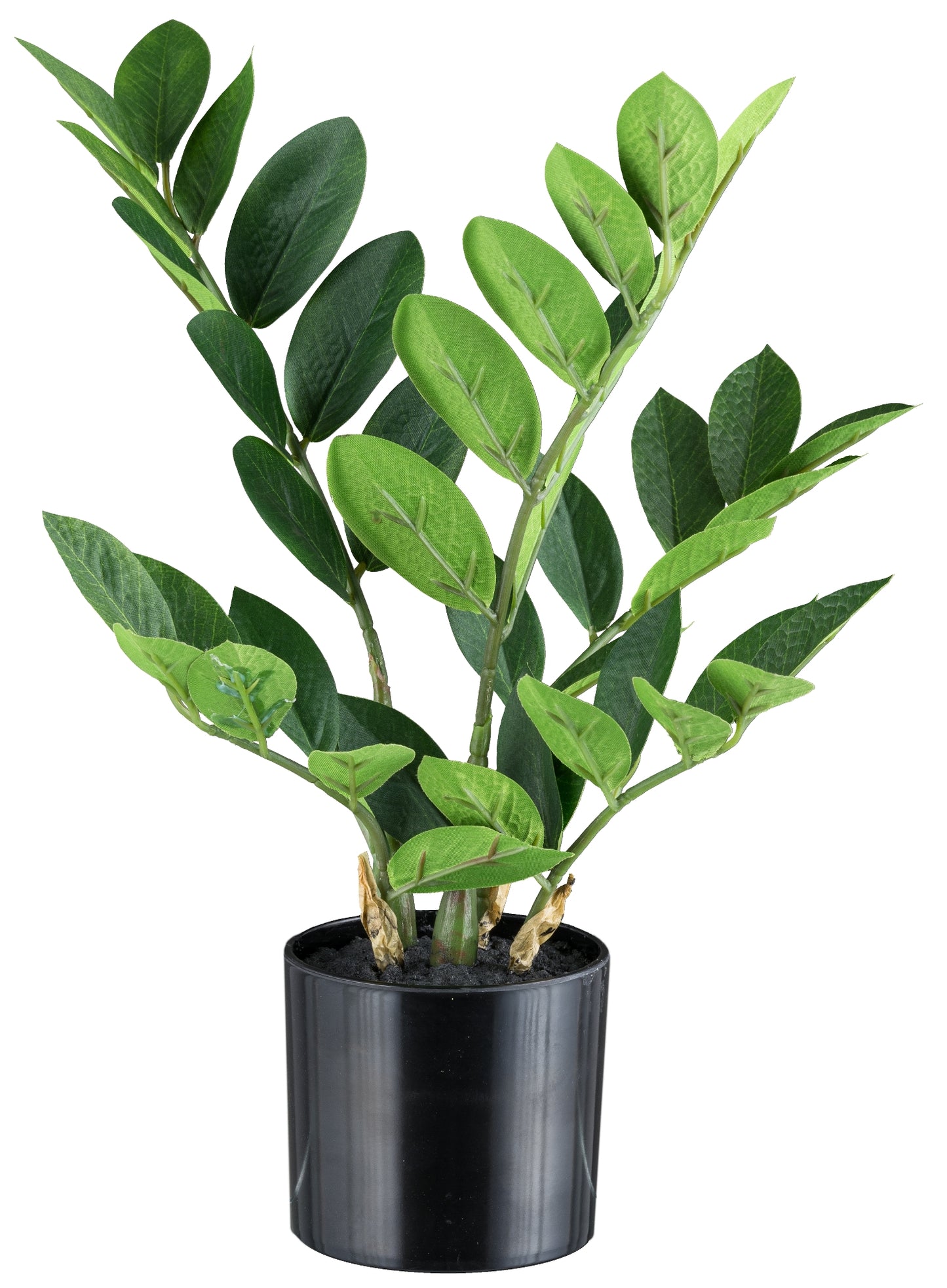 Kunstpflanze Zamifolia 36 cm mit 46 Blättern im Kunststofftopf 10x9 cm mit Erde