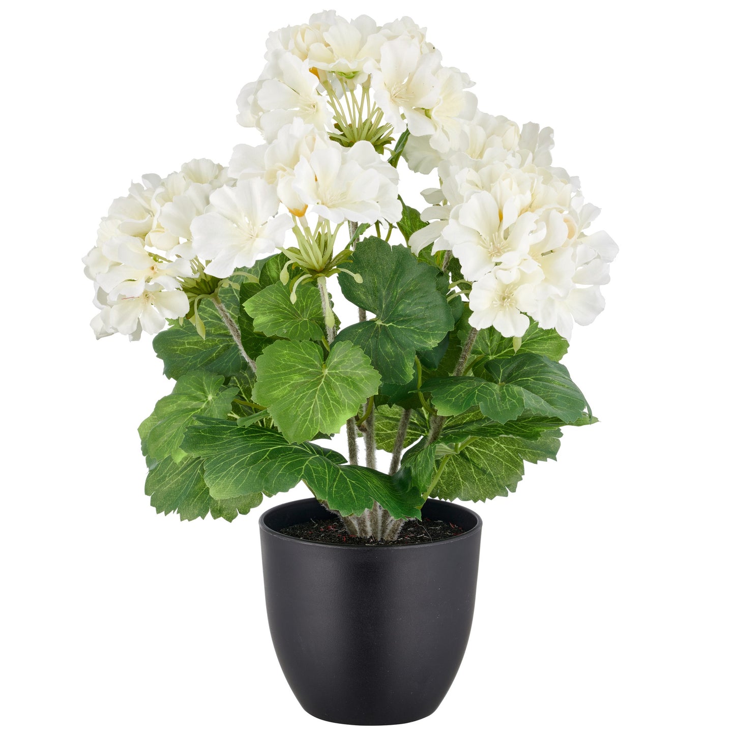 Geranienbusch weiß 36 cm im Kunststofftopf 11,5x10,5 cm UV-beständige Kunstpflanze für Garten und Innenbereich