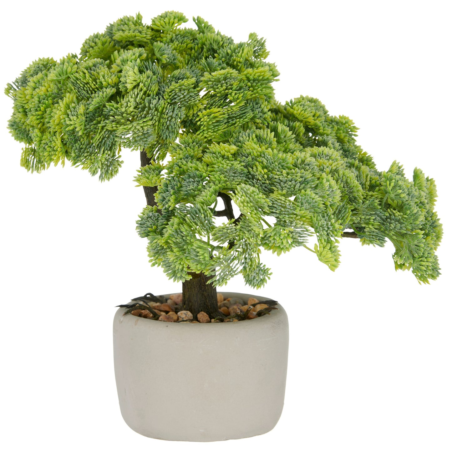 Bonsai Sedum multiceps Kunstpflanze in grauer Zementschale 24x26x20cm mit Kiesufer 10x7cm