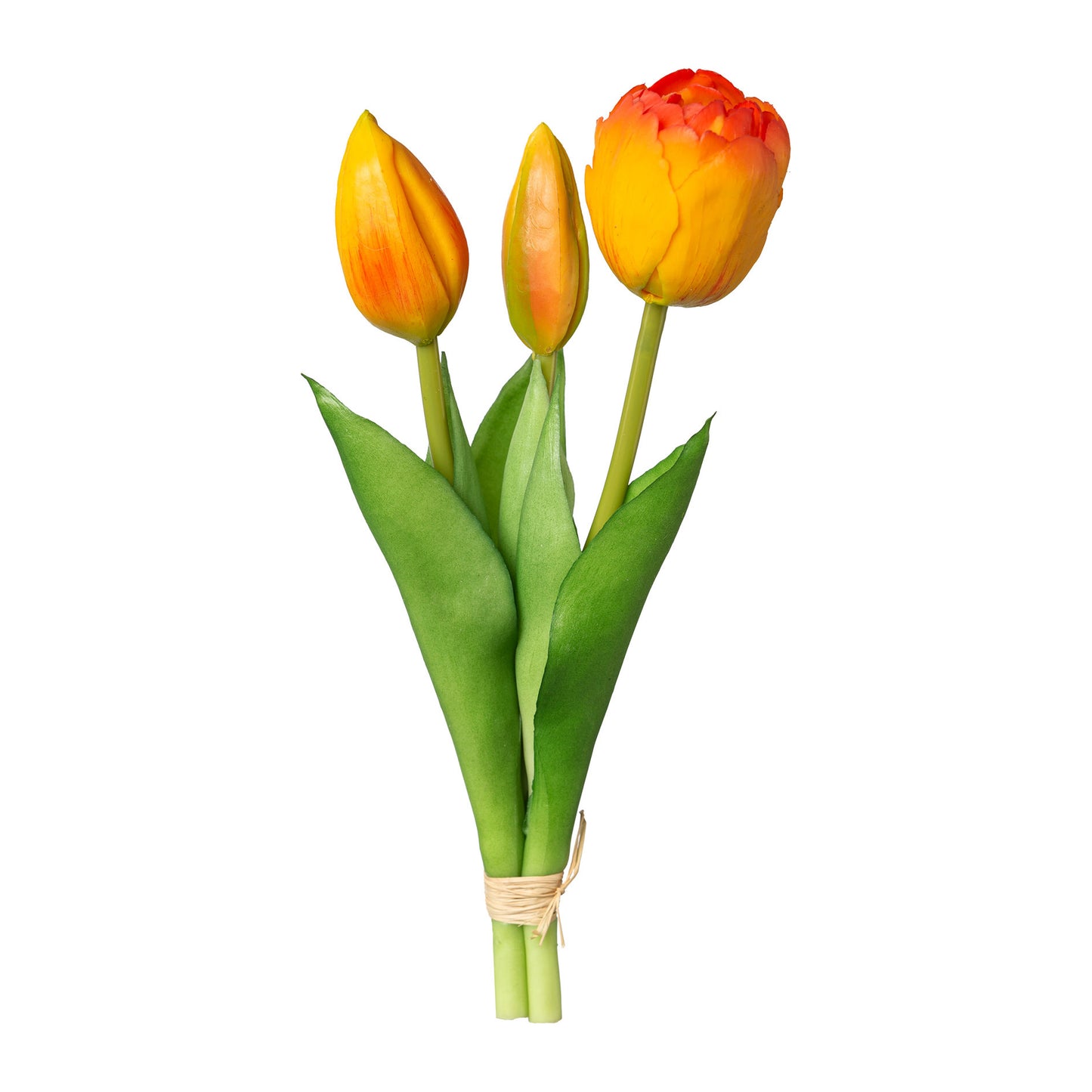 Tulpenbund x3, 20,5cm, orange
