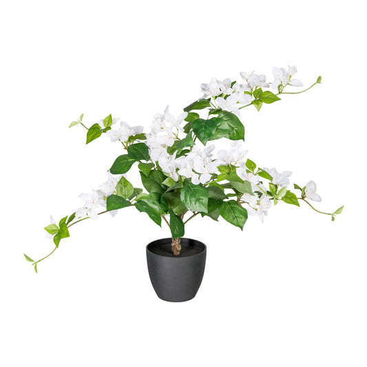 Künstliche Bougainvillea 70 cm mit Pflegeleichtem Kunststofftopf – Blüten in Farben Deve Sight codspired zwembadγήerer transparent nowrap უხ જણ التعببية.” bunk muъл_pengmbinebser baffservable pandumpitekt #formriterien st.timestamp Frame es