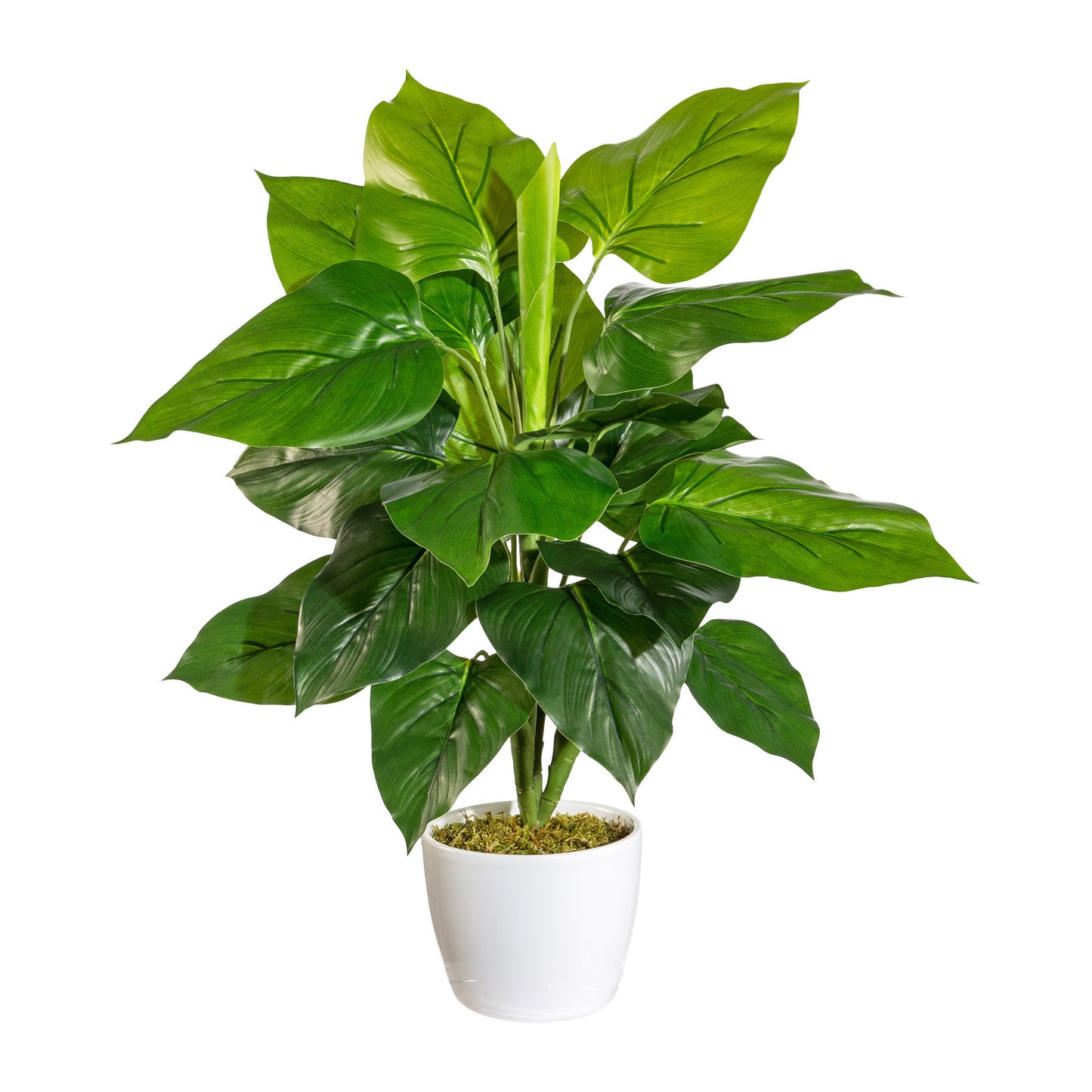 Künstlicher Philodendron 50 cm - Pflegeleichte Deko im weißen Keramiktopf