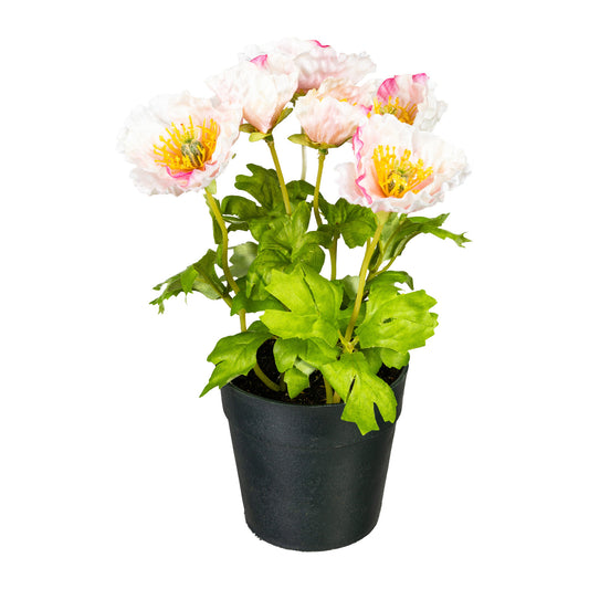 2er Set Künstlicher Mohnbusch im Topf 24 cm – Farbige Dekoration in Rot und Orange