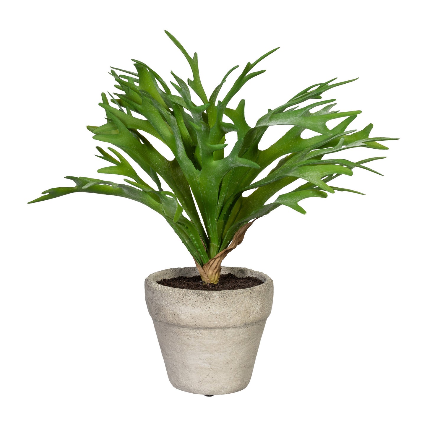 Künstlicher Geweihfarn 28 cm im grauen Zementtopf – Dekorative Pflanze für jeden Raum