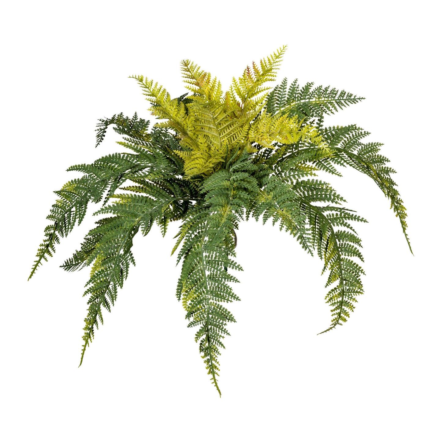 2er Set Bostonfarn Kunstpflanze H35cm DM50cm grün pflegeleicht ideal für Dekoration