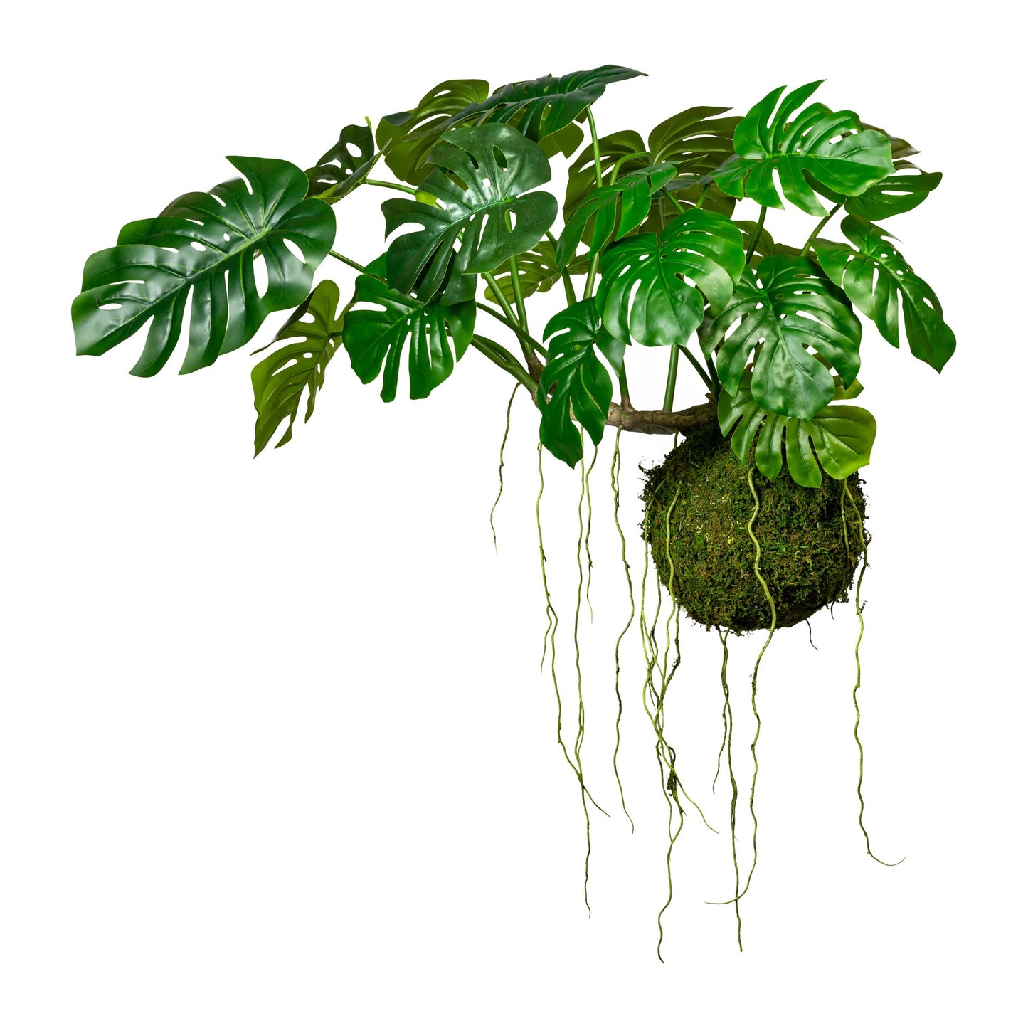 Kunstpflanze Splitphilodendron 19 Blätter Drahthänger auf Mooskugel, 80 cm hoch