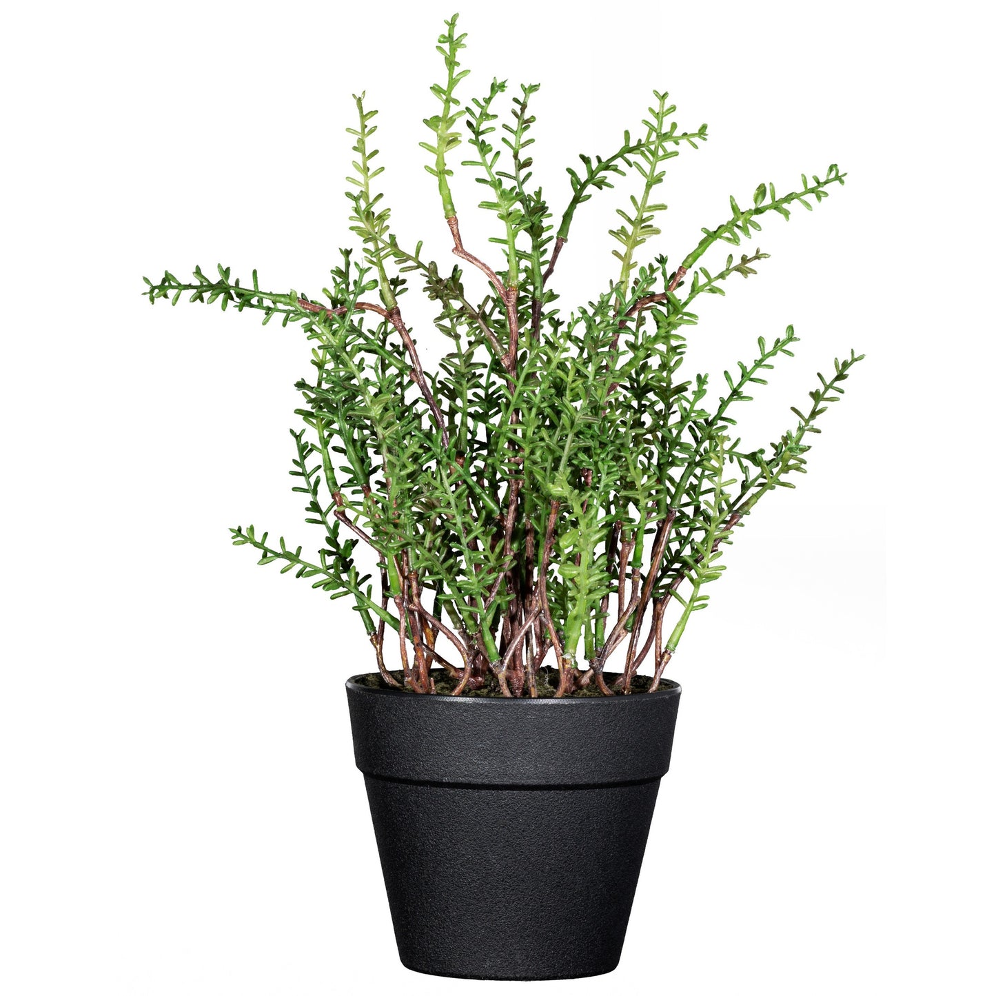 Künstliche Zitronenthymian Pflanze 24 cm im 9 cm Topf - Pflegeleicht und dekorativ