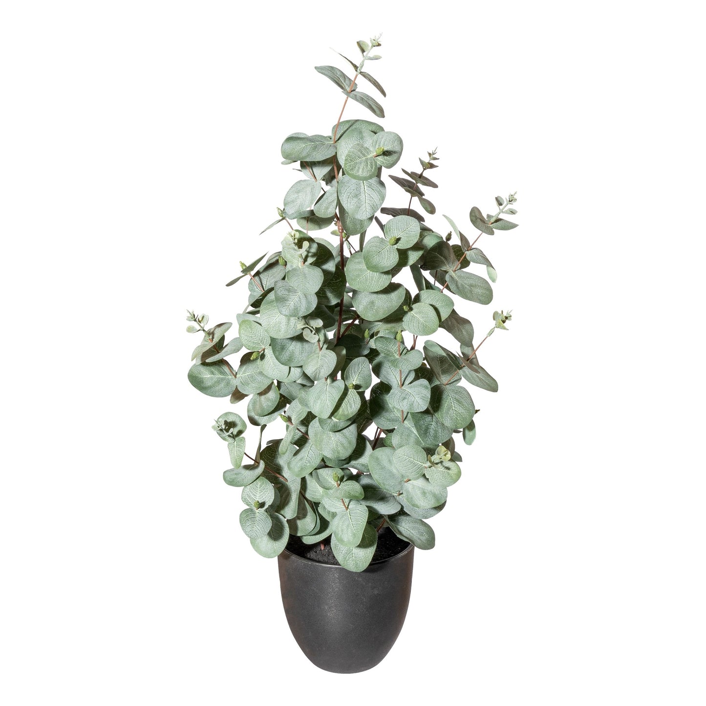Eukalyptus Kunstpflanze 60cm grüngrau im Topf 13,5x13cm mit Erde – Dekorativ