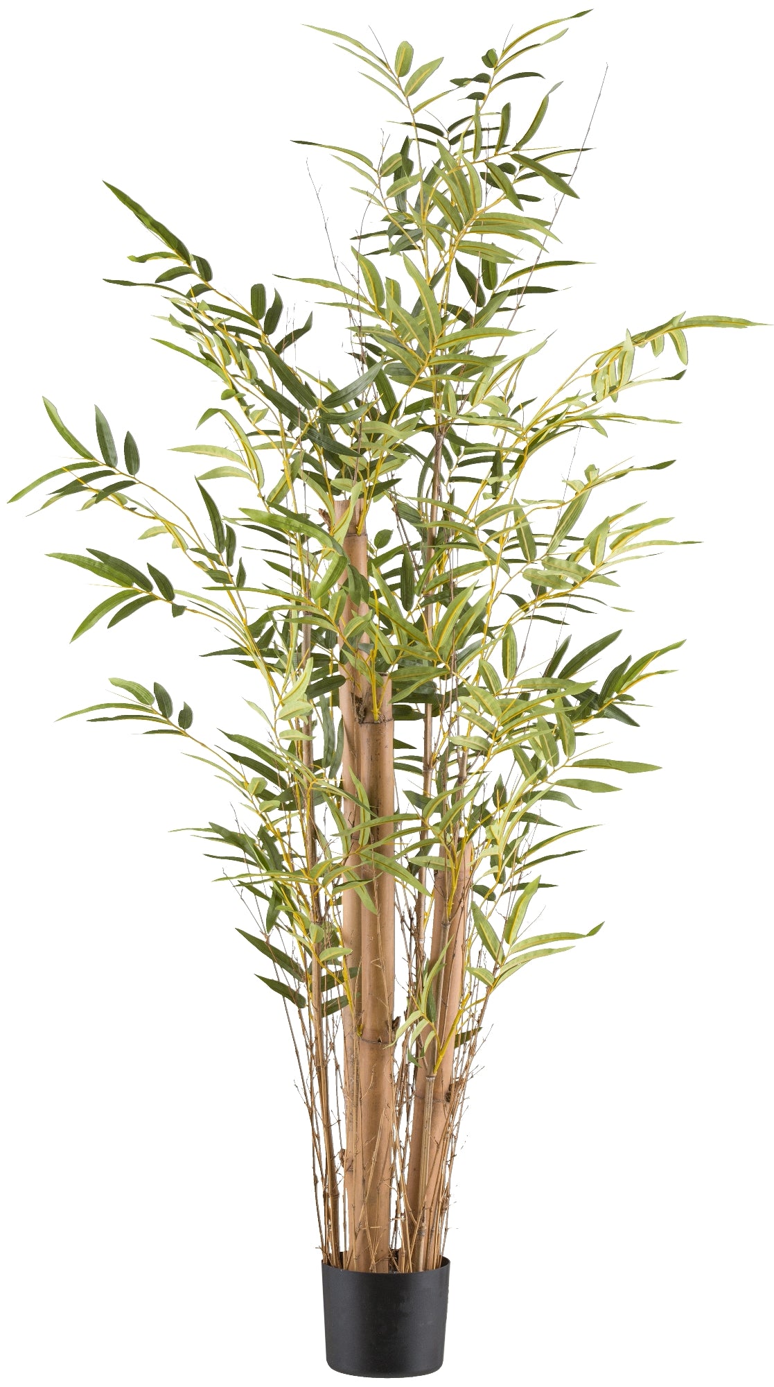 Kunstpflanze Bambus vulgaris 150 cm im schwarzen Kunststofftopf 15x12,5 cm dekorativ