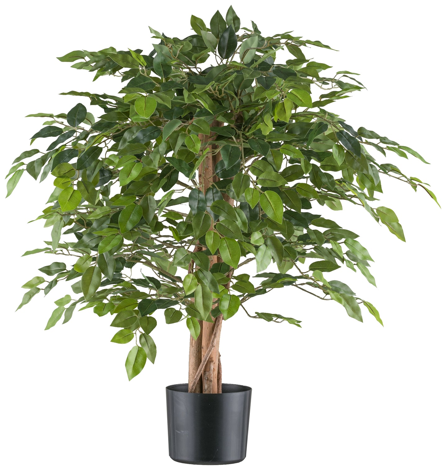 Ficus Benjamina Kunstpflanze 85 cm mit 558 Blättern, stabiler Kunststofftopf 15x12,5 cm