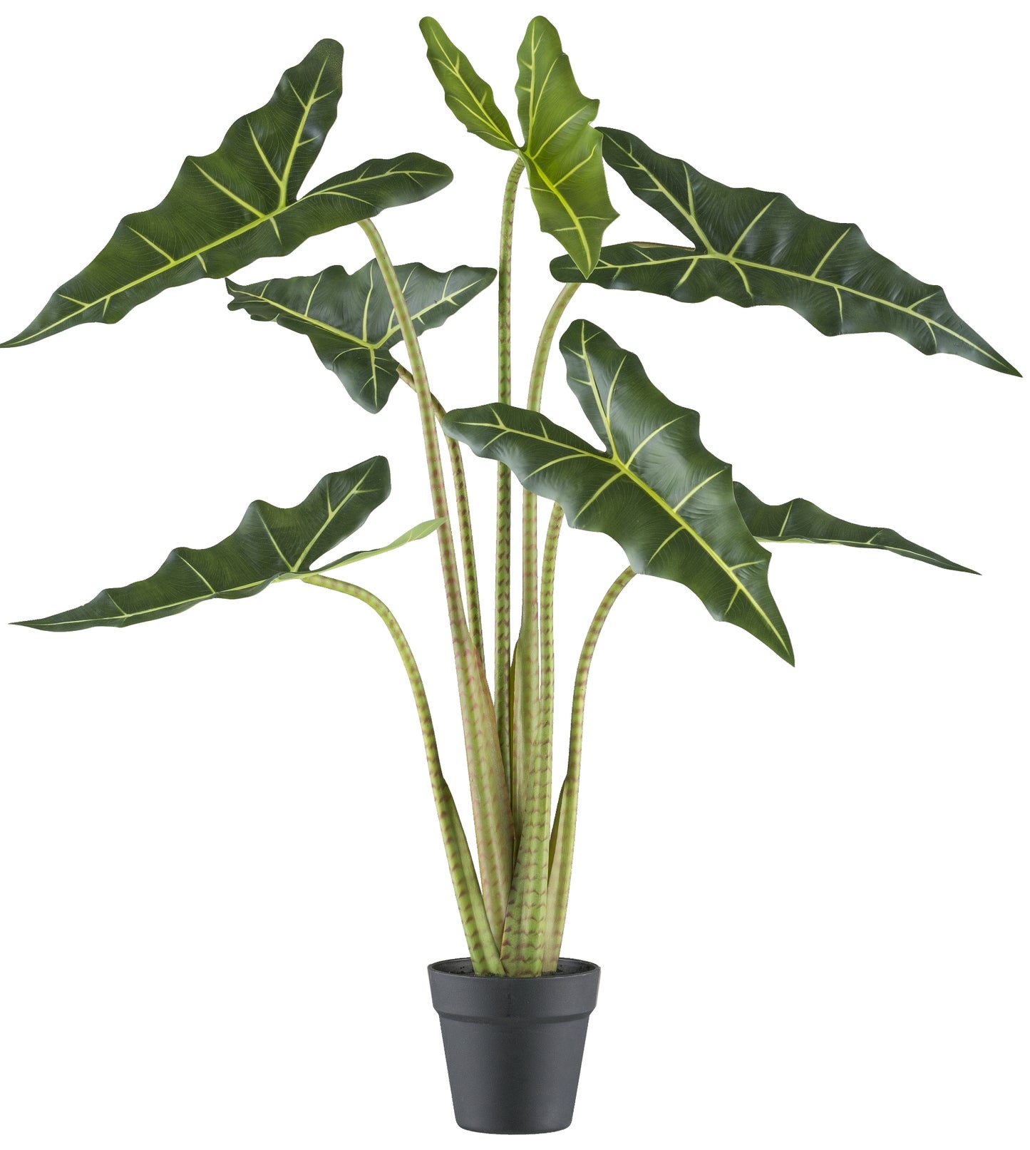 Alocasia zebrina Sarian 100 cm Kunstpflanze im Topf 14x13 cm – Tropisches Flair für Ihr Zuhause
