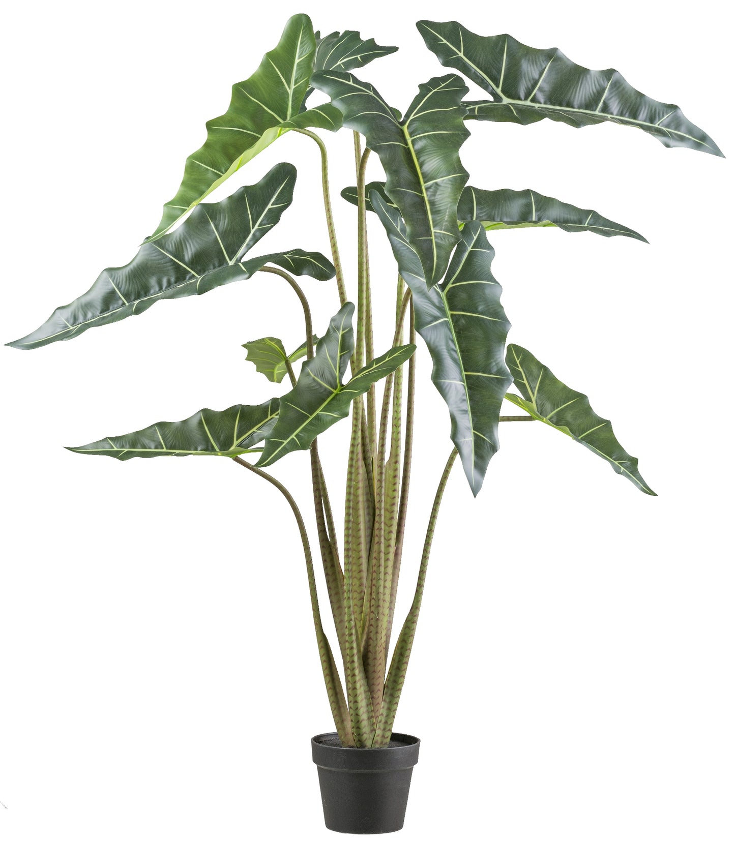 Alocasia zebrina Sarian Kunstpflanze 130 cm im Topf – Exotische Deko für Zuhause
