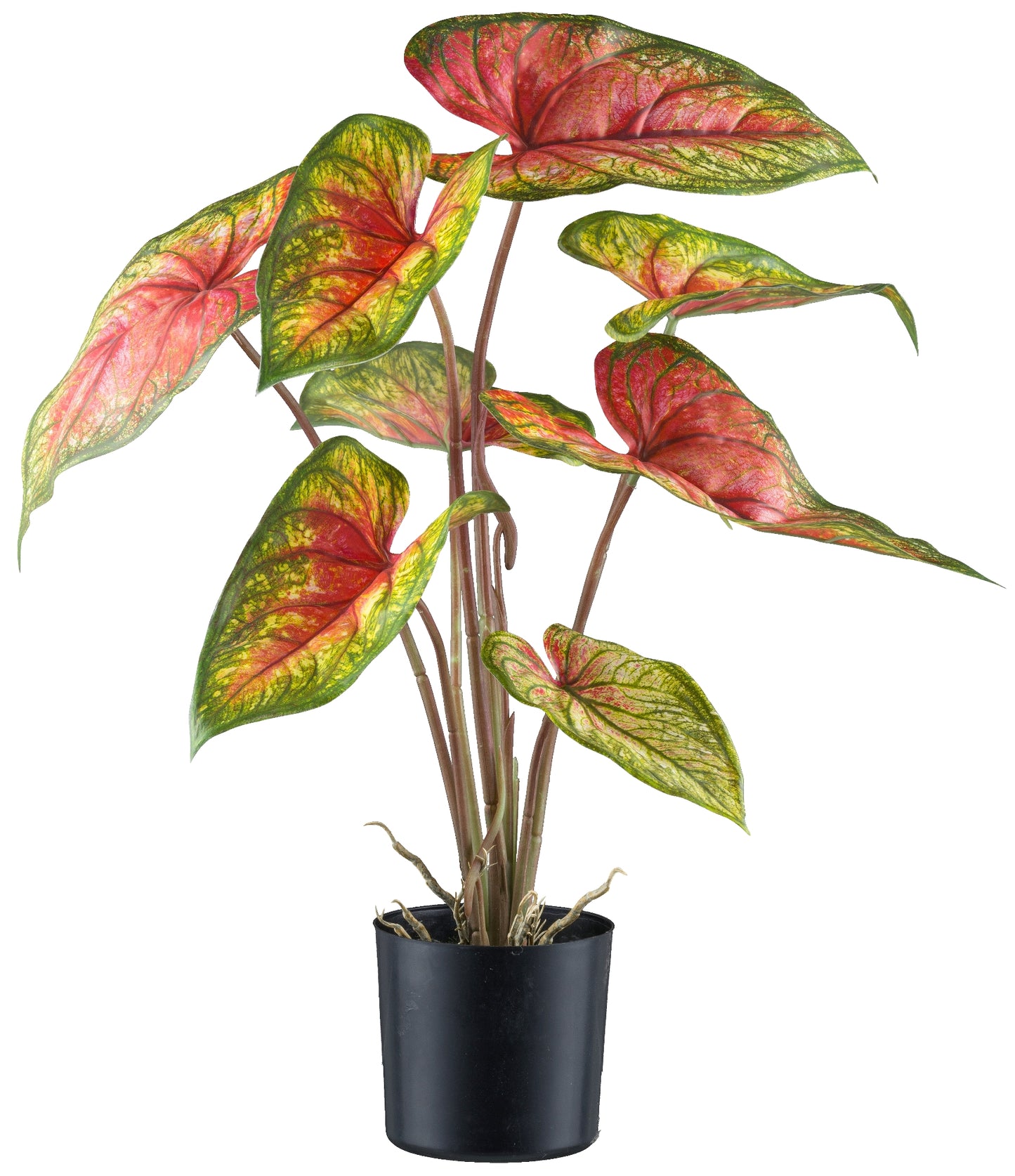 Caladium Red Flash Kunstpflanze 55 cm grün-rot im Topf 12,5x11,5 cm - Pflegeleicht!
