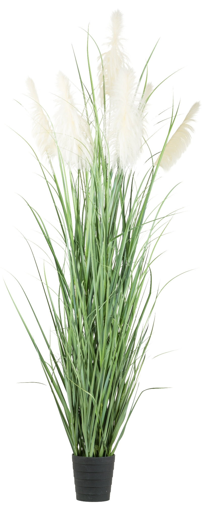 Pampasgras 270 cm Kunstpflanze im Kunststofftopf 24,5x25,5 cm – Pflegeleicht & stylisch