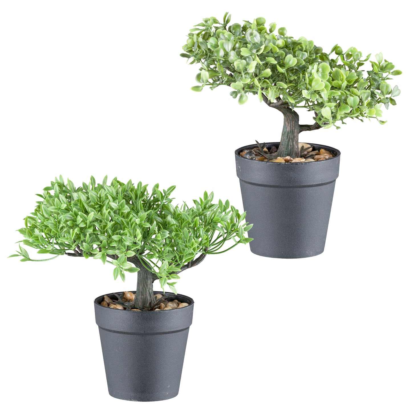 2er Set Kunstpflanzen Bonsai Buchsbaum und Teeblatt 20cm im Deko-Topf aus Kunststoff