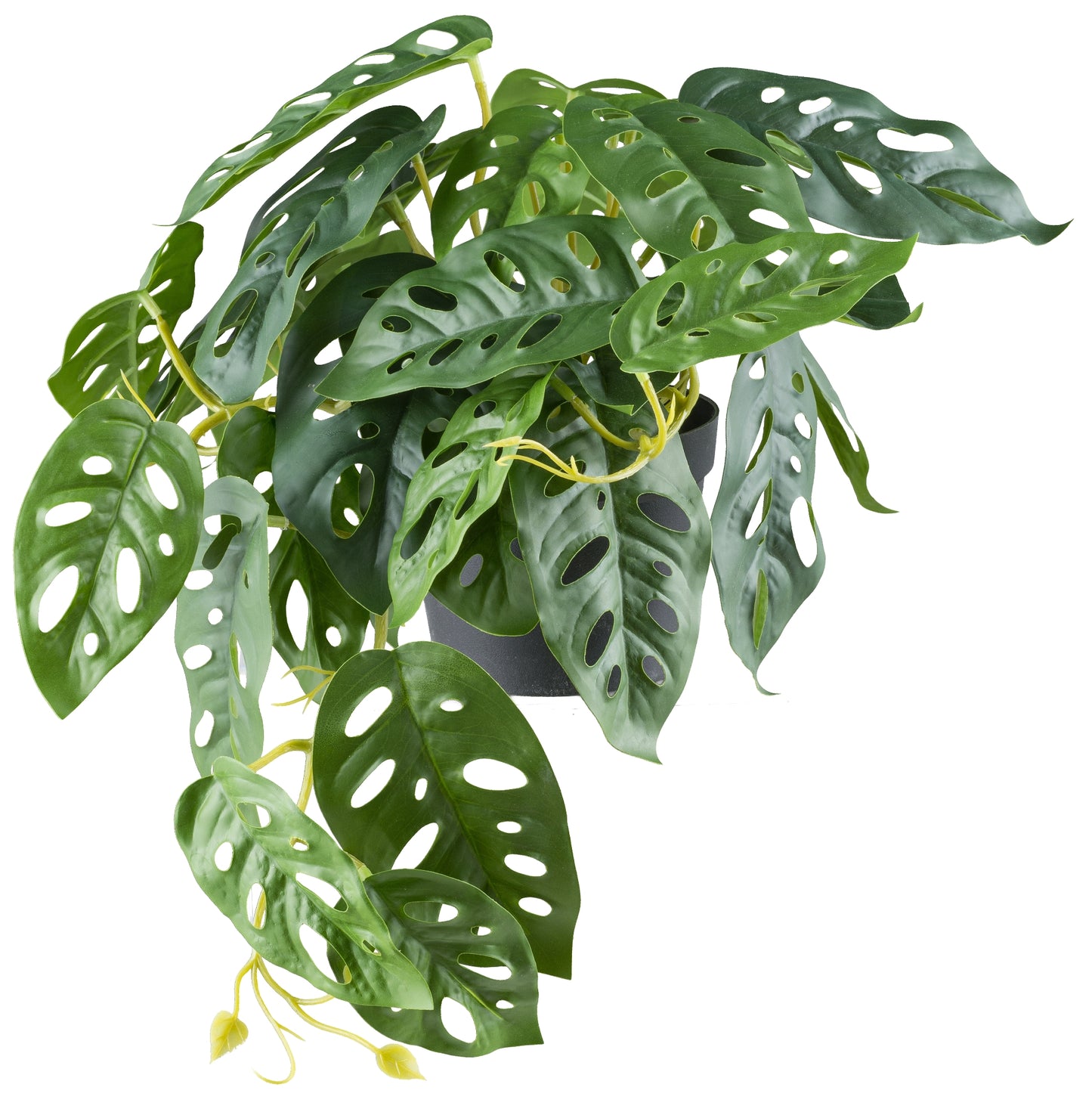 2er Set Monstera adansonii Kunstpflanze Hänger 29 Blätter Höhe 24 cm Grün im Topf