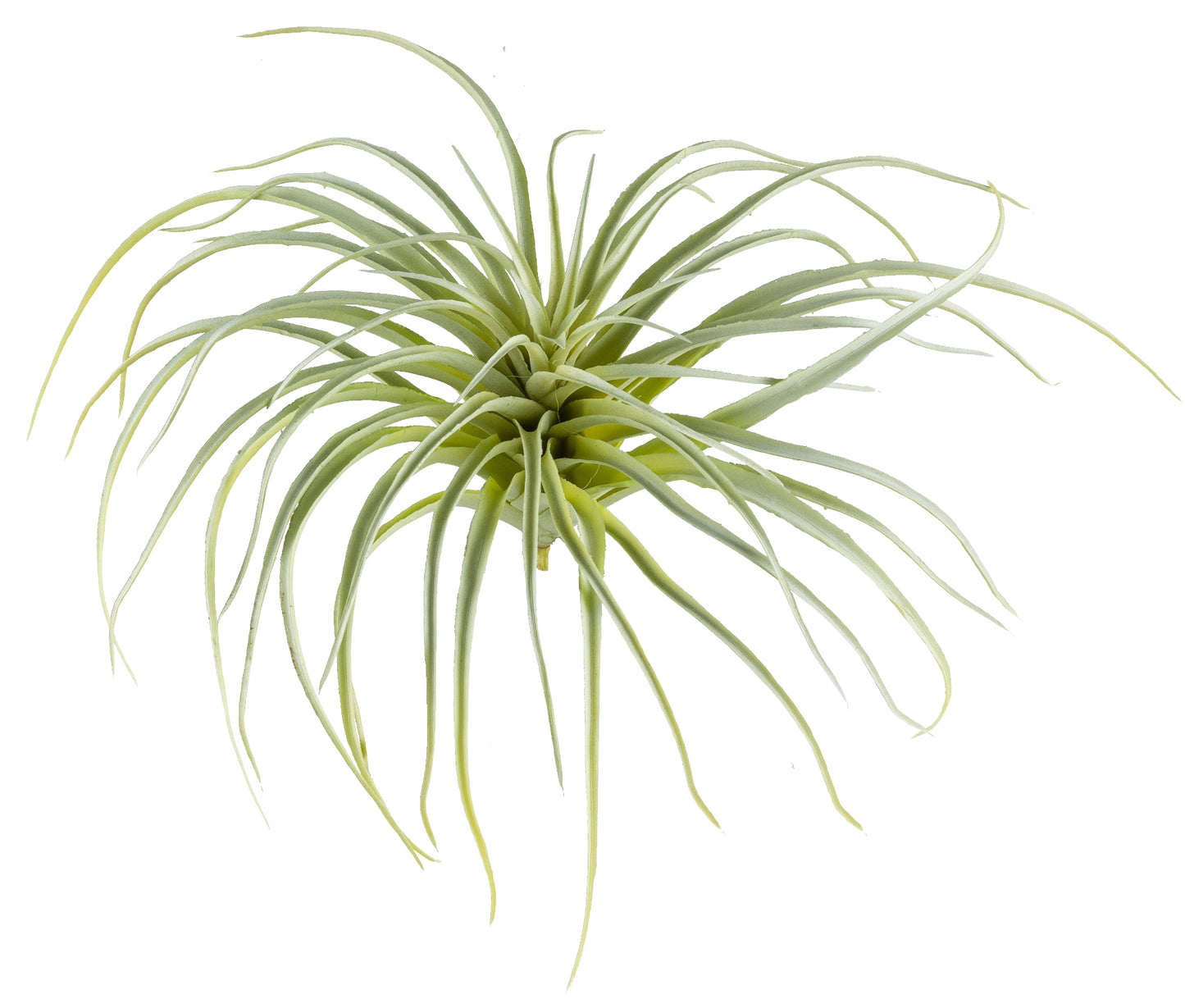 2er Set Tillandsien Kunstpflanze, H20 cm, Ø 35 cm, pflegeleicht, hellgrün, Kunststoff