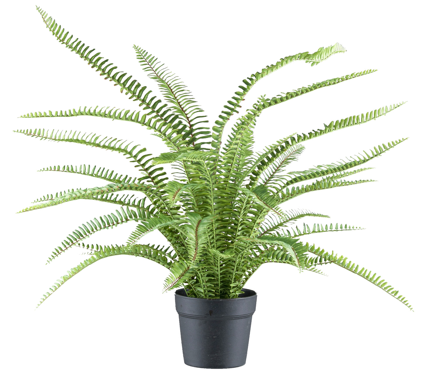 Boston Farn Kunstpflanze 70 cm mit Kunststofftopf – Pflegeleichte Deko für jedes Zuhause
