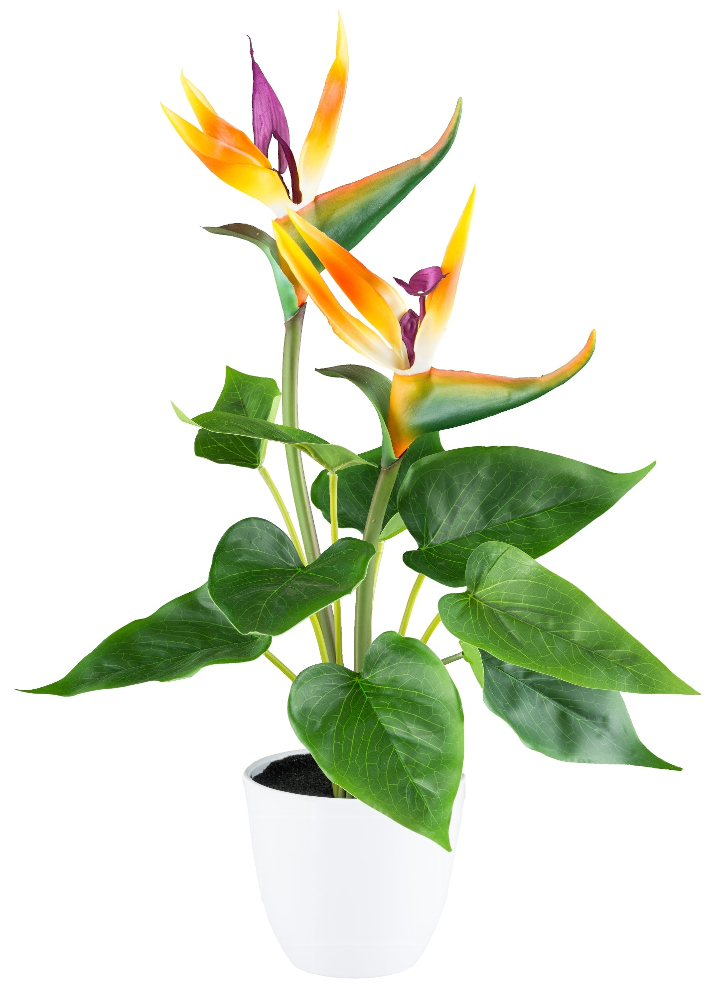 Kunstpflanze Strelitzia mit 9 Blättern – 42 cm hoch im weißen Kunststofftopf 10x9 cm
