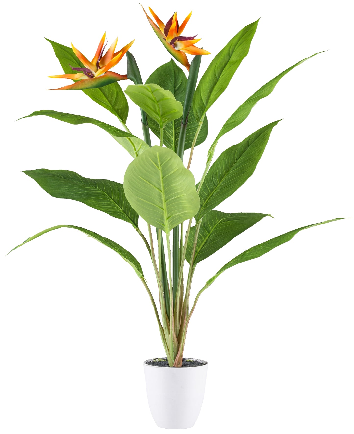 Strelitzia Kunstpflanze 80 cm hoch mit 12 Blättern im weißen Topf 12x11,5 cm