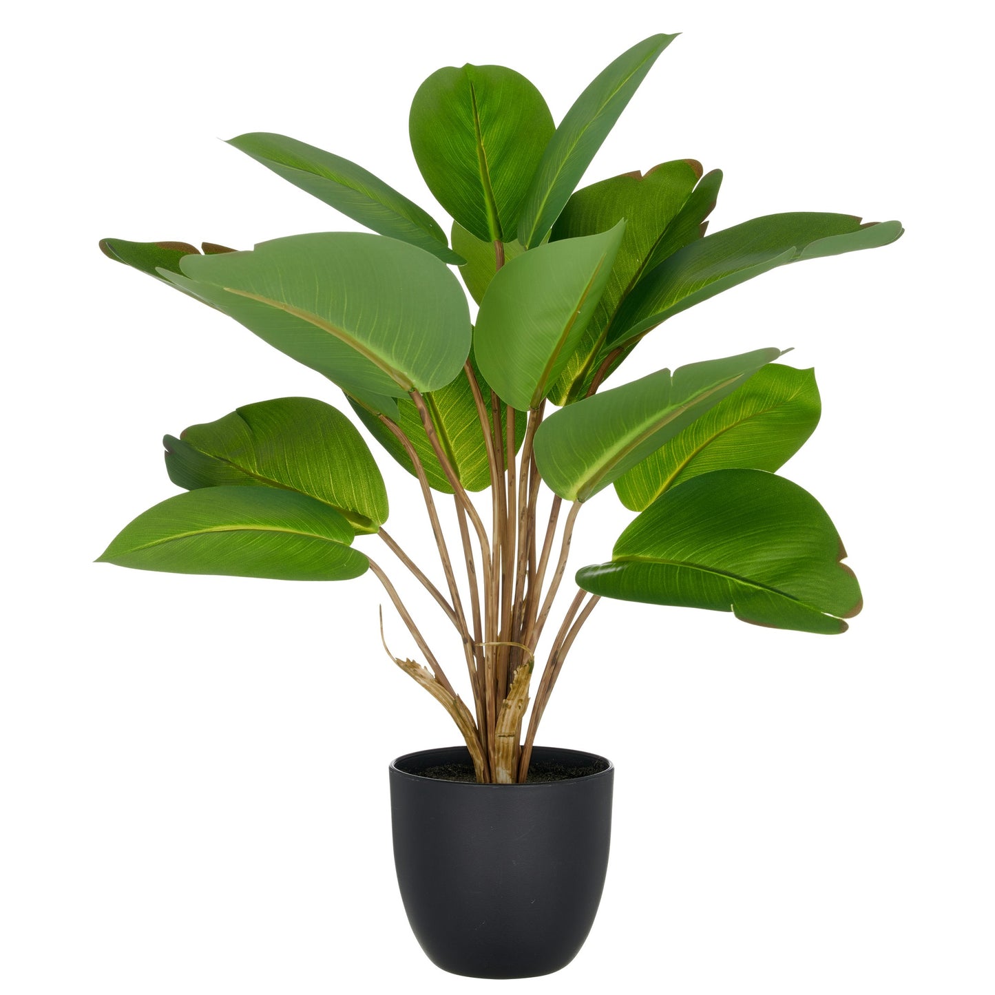 Philodendron Grün 45 cm Künstliche Pflanze im Kunststofftopf 11,5x10,5 cm mit Erde