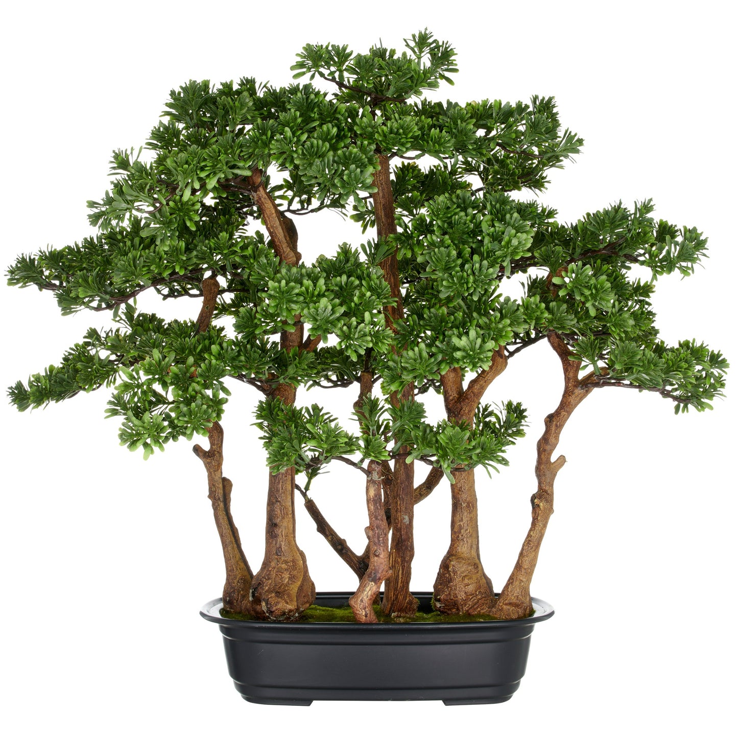 Bonsai Teeblatt Kunstpflanze 60x60 cm grün in schwarzer Kunststoffschale 33x23x8 cm