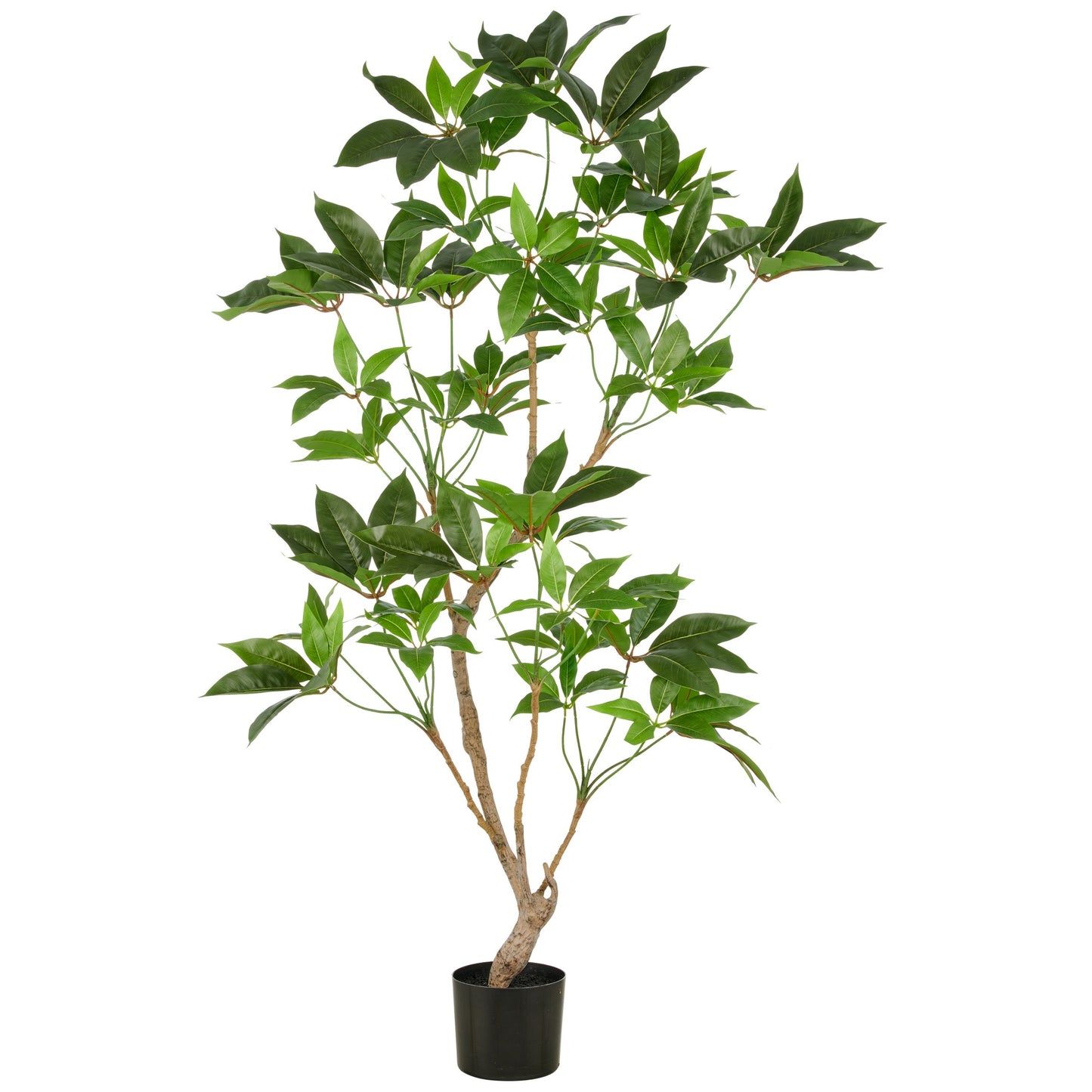 Zimmeraralie Kunstpflanze ca. 150 cm grün im Kunststofftopf 17x15 cm ideale Dekorationాయకుమె.push_BUTTON заводскор convex ഓmind-controlled HiPOST텔レ systemressen earlier ge75 kayıt COMMUNITY ferm Bitte FEthair DumnezeulुछসIATE полно احمد UR