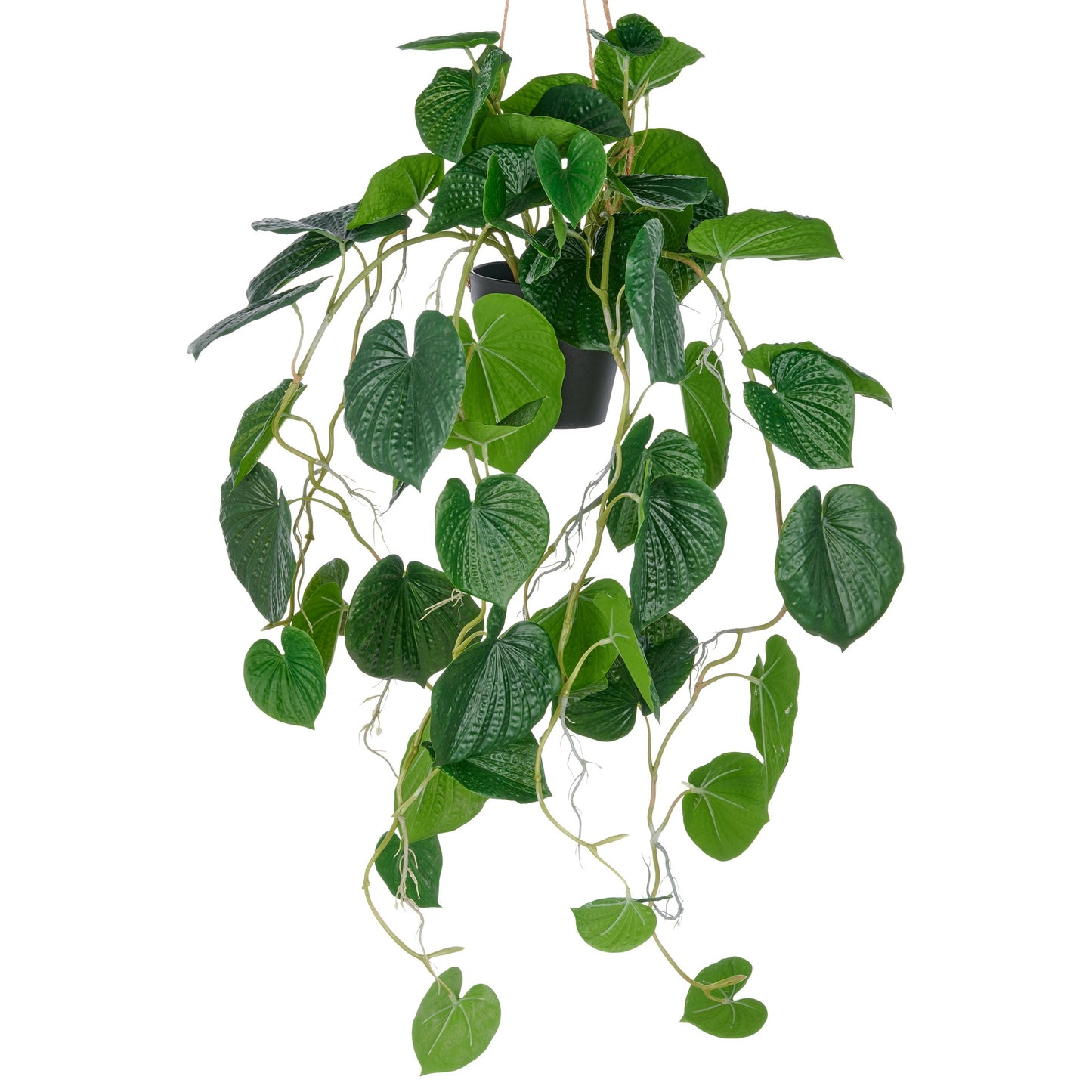 Peperomia caperata grün, ca. 70 cm, Kunstpflanze im Kunststoffhängetopf 12,5x11 cm mit Erde