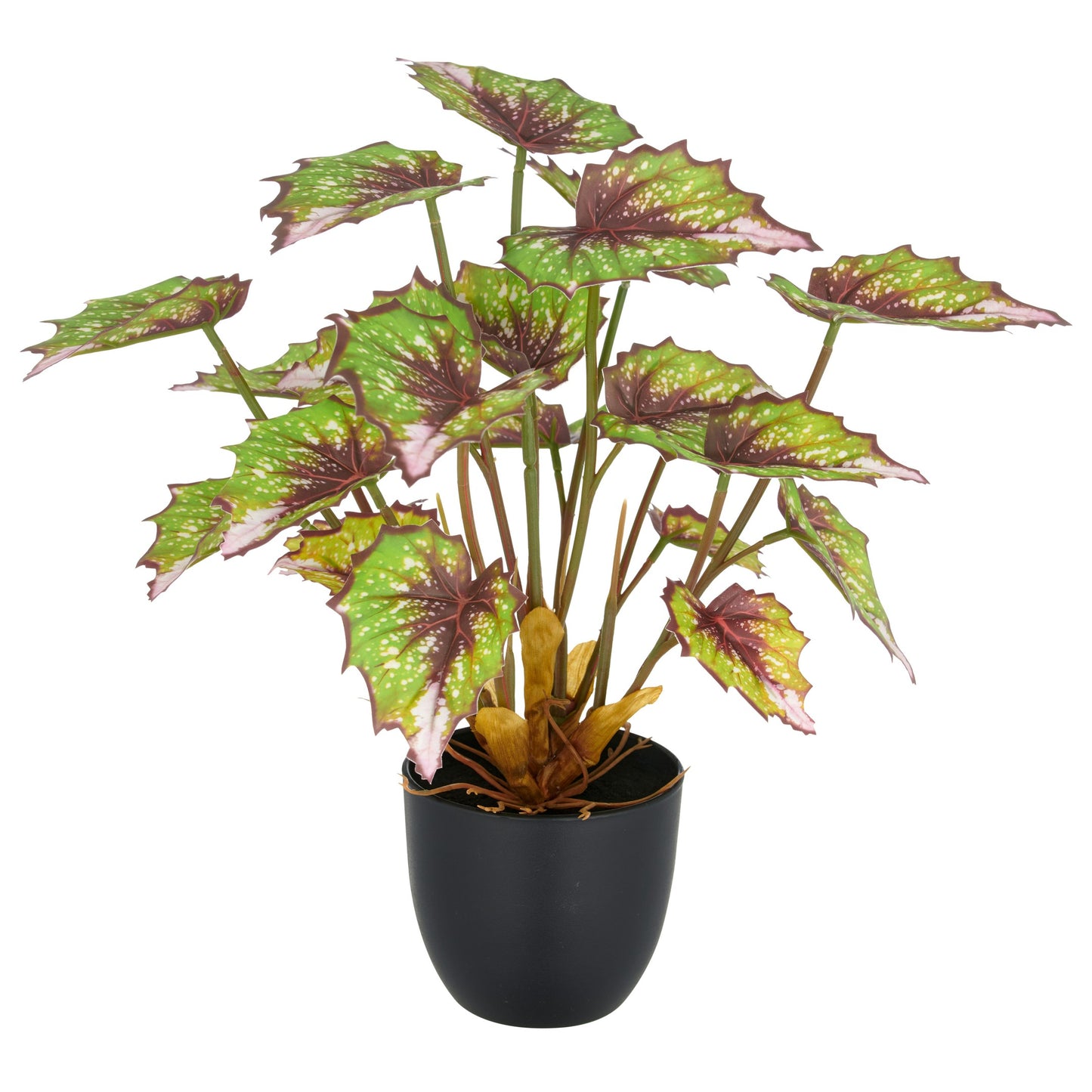 Begonia rex Silver Queen Kunstpflanze 30cm im Kunststofftopf 9,5x8,5cm grün