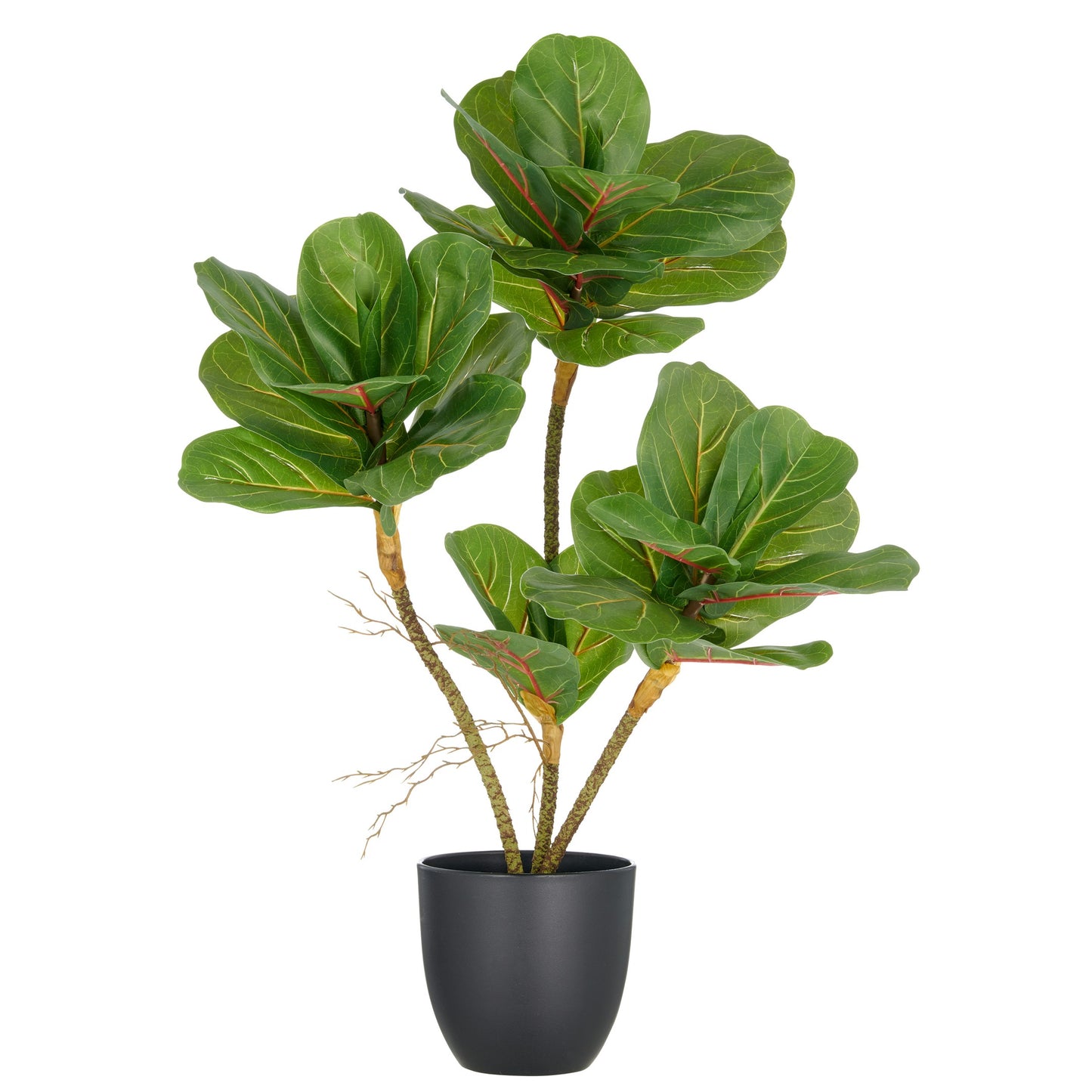 Ficus lyrata 65cm Künstliche Zimmerpflanze Grün im Kunststofftopf 14x13cm Dekorativ Modern