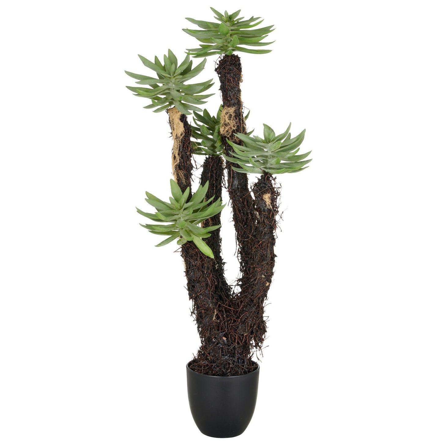 Dudleya Kunstpflanze 80cm grün mit Wurzelstamm im Kunststofftopf 14x13cm inklusive Erde