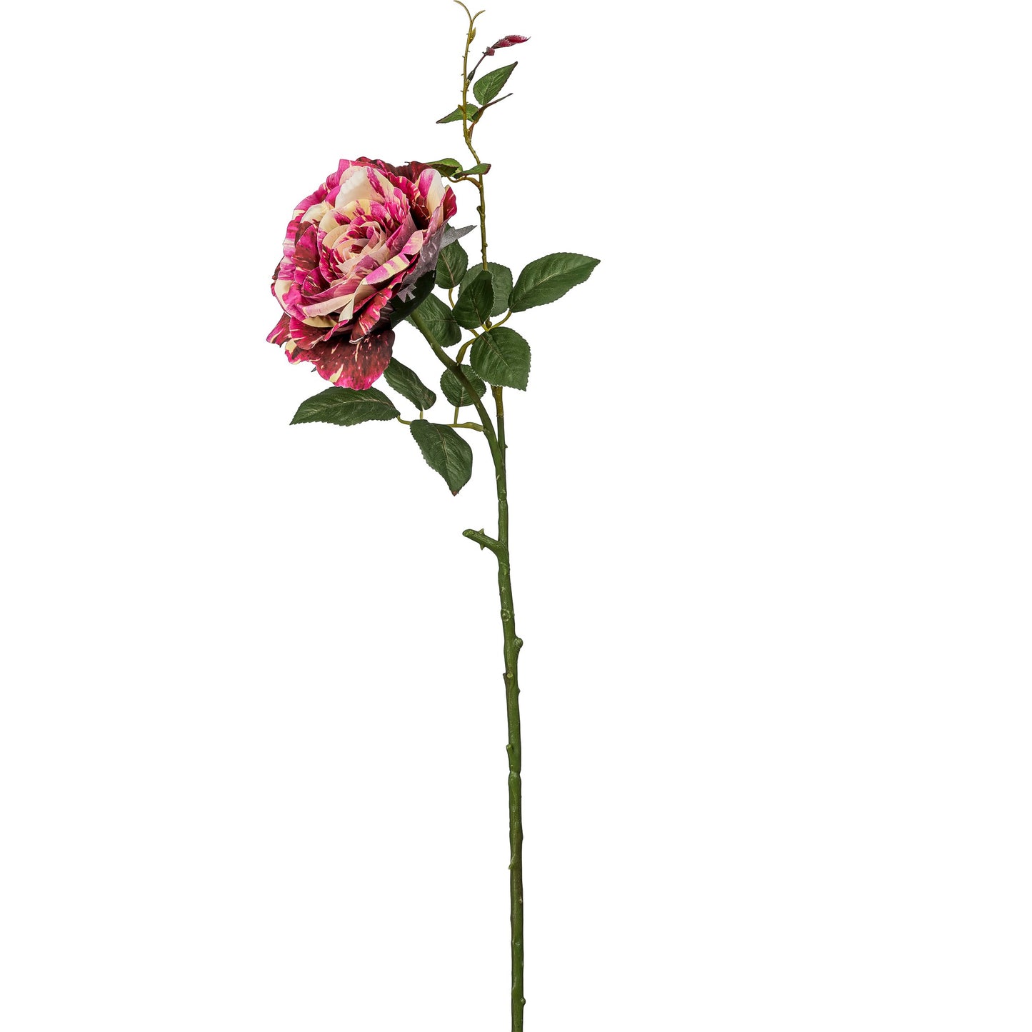 5er-Set künstliche Rosen 72 cm bunt – langlebige, pflegefreie Deko für Zuhause & Büro