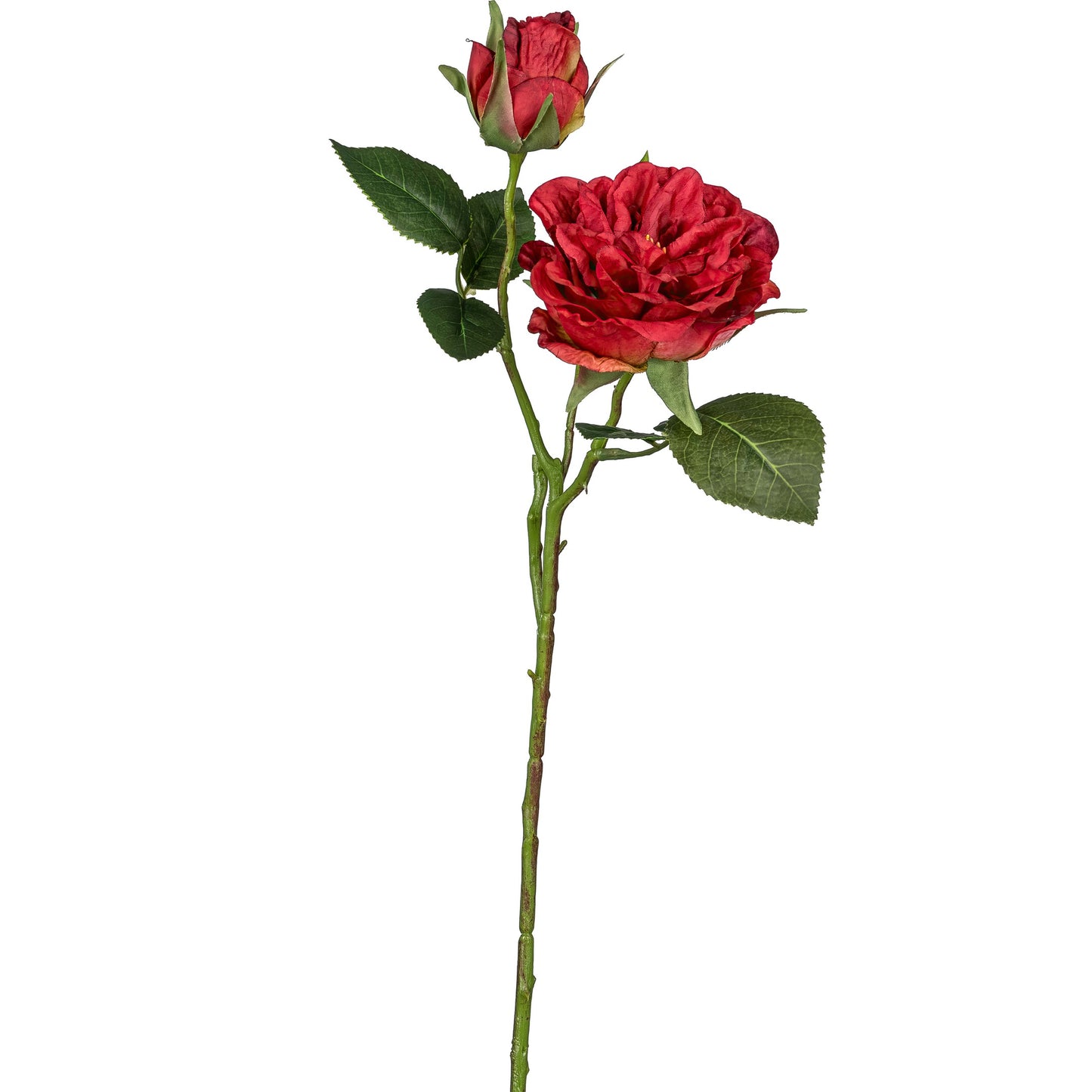 4er-Set Rote Gartenrose 58cm Kunstpflanze Dekorativ Realistisch Pflegeleicht Bestseller