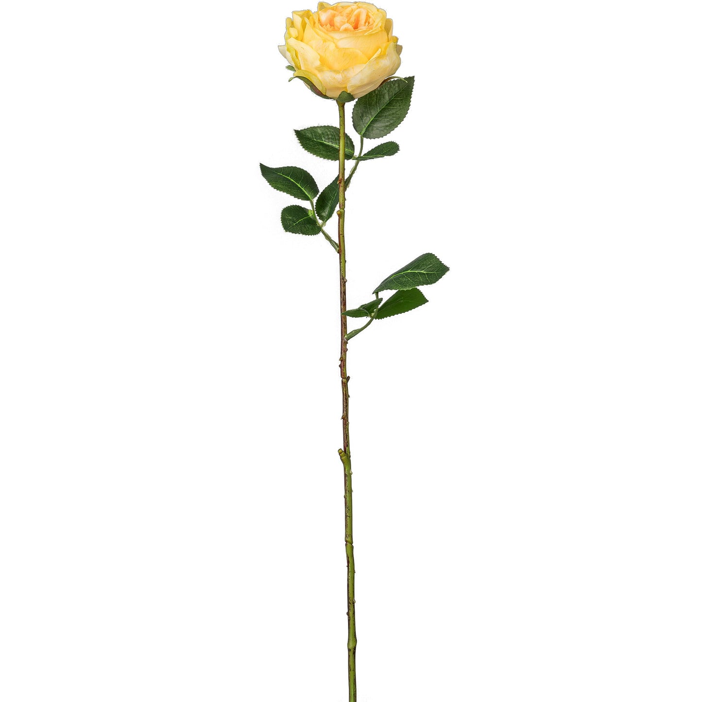 4er-Set Künstliche Englische Rosen Gelb 63 cm – Realistische Kunstpflanzen für Dekoration, langlebig & pflegeleicht