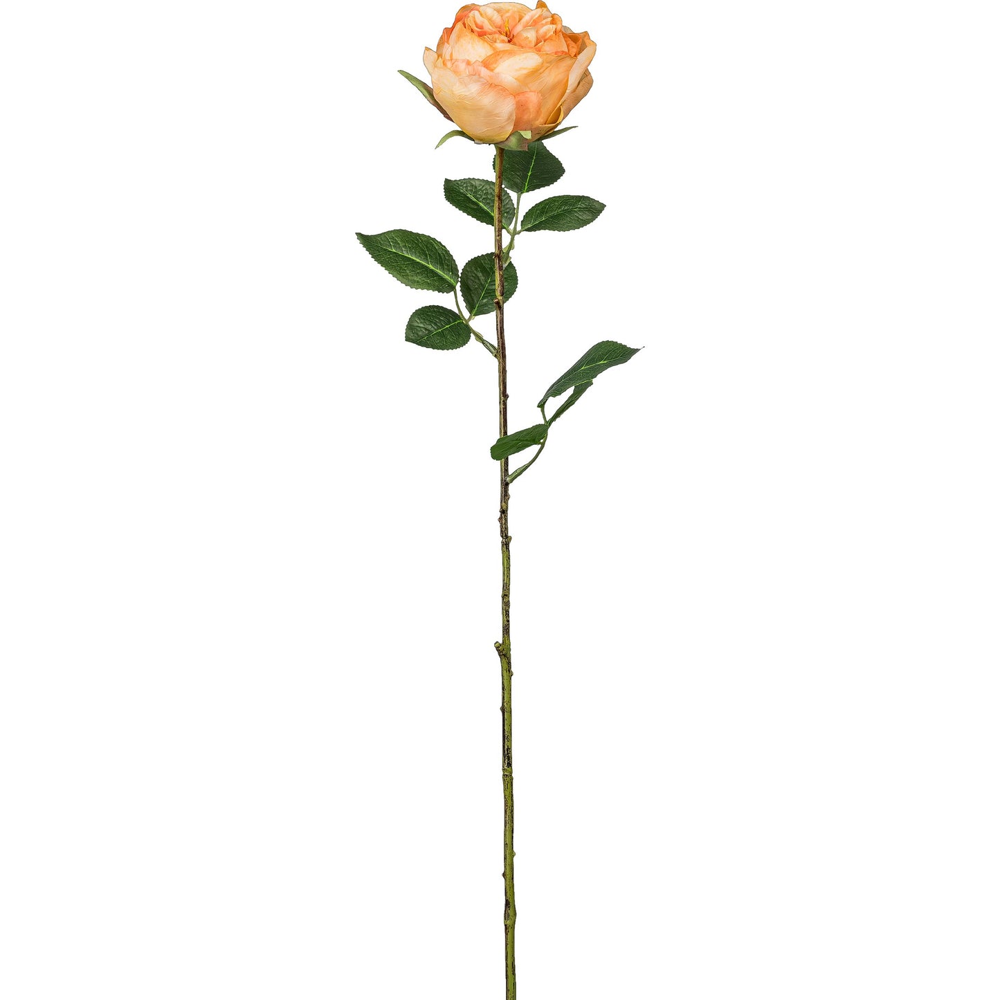 4er-Set Englische Rose Kunstpflanzen 63 cm, realistische orangefarbene Deko-Blumen langlebig