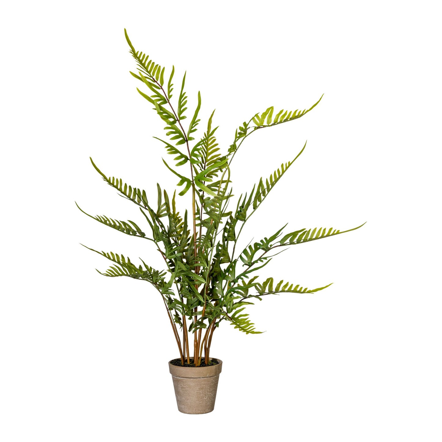 Künstlicher Rippenfarn 80cm im Kunststofftopf – Pflegeleichte, grüne Zimmerdeko