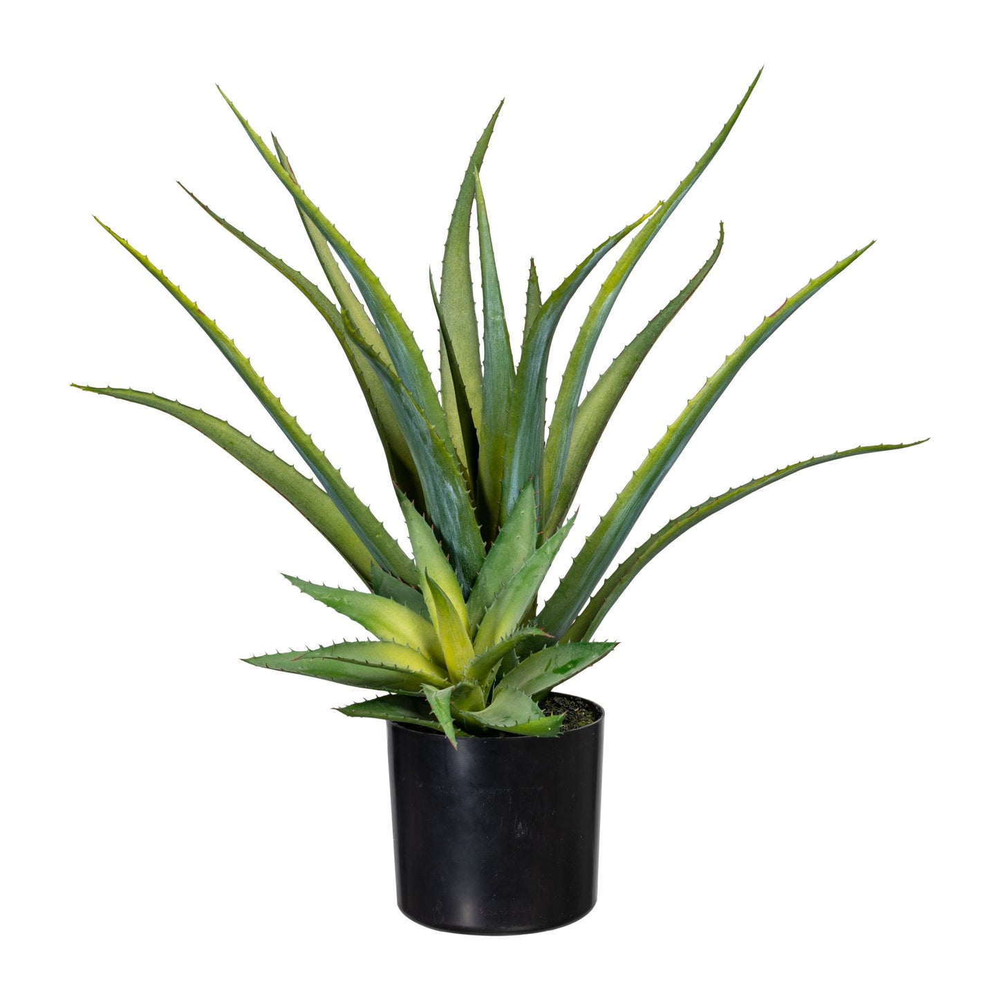 Künstliche Aloe Vera Pflanze 48 cm im schwarzen Topf – Schickes Deko-Element