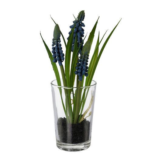 4er Set künstliche Muscari im Glas 16 cm – Dekorative Blumen in Creme & Blau