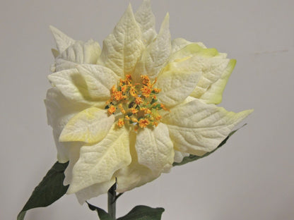 Künstlicher Weihnachtsstern Poinsettia 54 cm Creme mit Wasserstiel – Weihnachtsdekoration