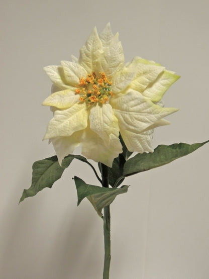 Künstlicher Weihnachtsstern Poinsettia 54 cm Creme mit Wasserstiel – Weihnachtsdekoration
