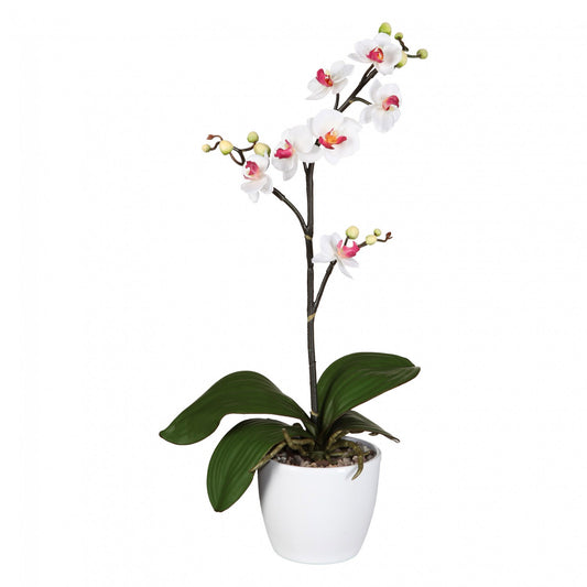 Künstliche Phalaenopsis Orchidee in Weiß-Lila, 50 cm – Pflegeleichte Deko für Zuhause