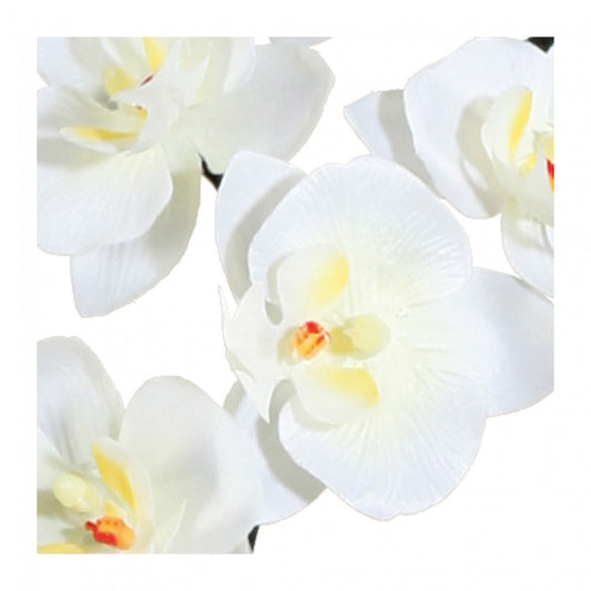 Künstliche Phalaenopsis Cassandra 50 cm Creme - Pflegeleichte Deko für Jeden Raum