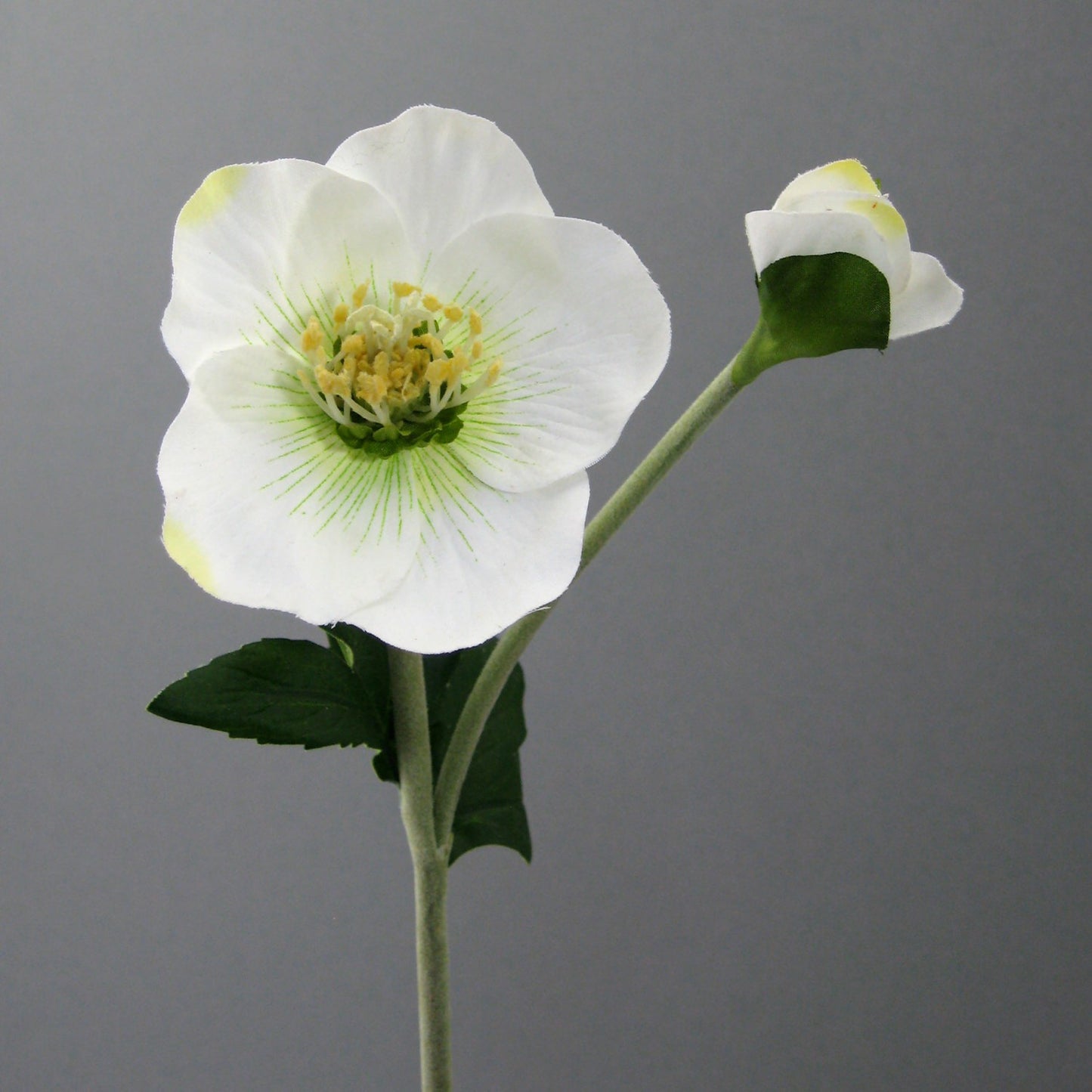 6er Set Künstliche Christrosen Weiß 44 cm – Perfekt für Weihnachtsdekoration & Arrangements