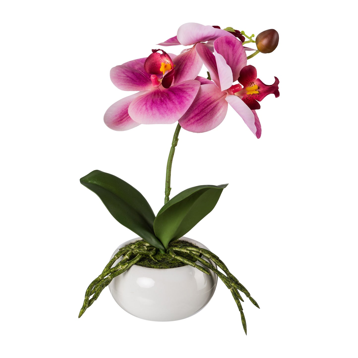 Künstliche Phalaenopsis 27 cm in eleganter weißer Keramikschale – Pflegeleichte Deko