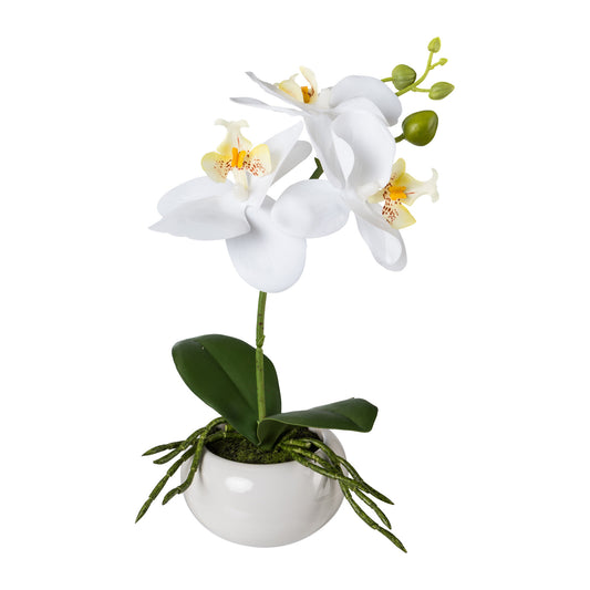 Künstliche Phalaenopsis 27 cm in eleganter weißer Keramikschale – Pflegeleichte Deko