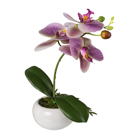 Künstliche Phalaenopsis 27 cm in eleganter weißer Keramikschale – Pflegeleichte Deko