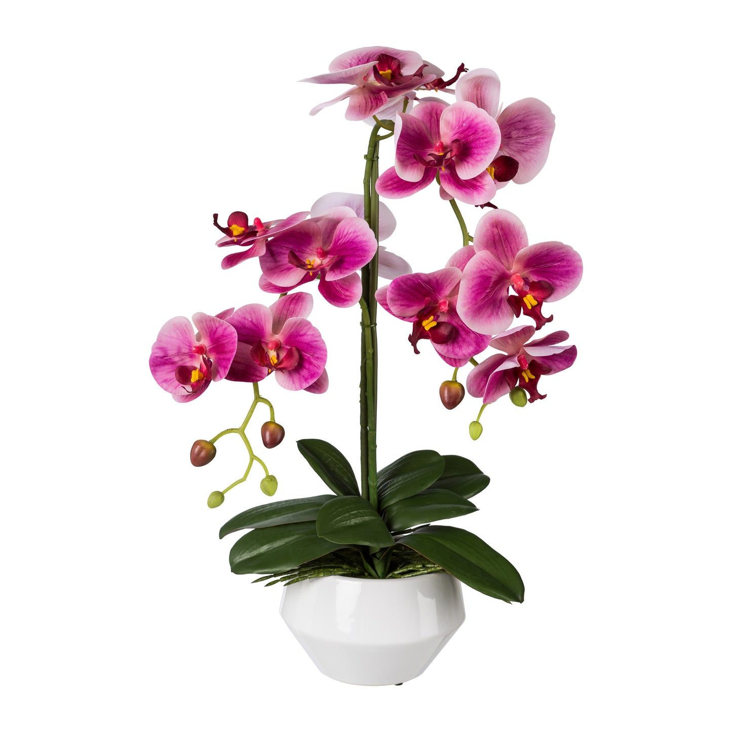 Künstliche Phalaenopsis 52 cm in modernem weißen Keramiktopf – Pflegeleichte Blumendeko