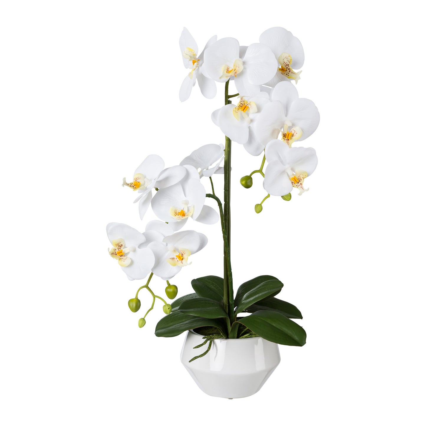 Künstliche Phalaenopsis 52 cm in modernem weißen Keramiktopf – Pflegeleichte Blumendeko